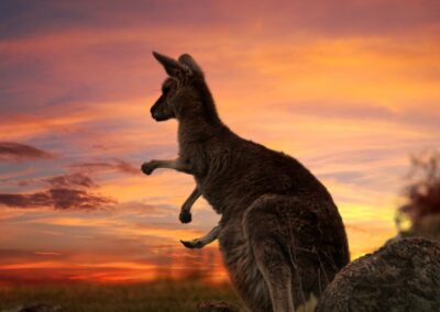 Australia infinita