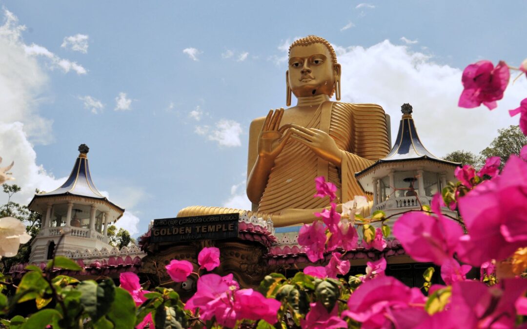 Aventura en Sri Lanka
