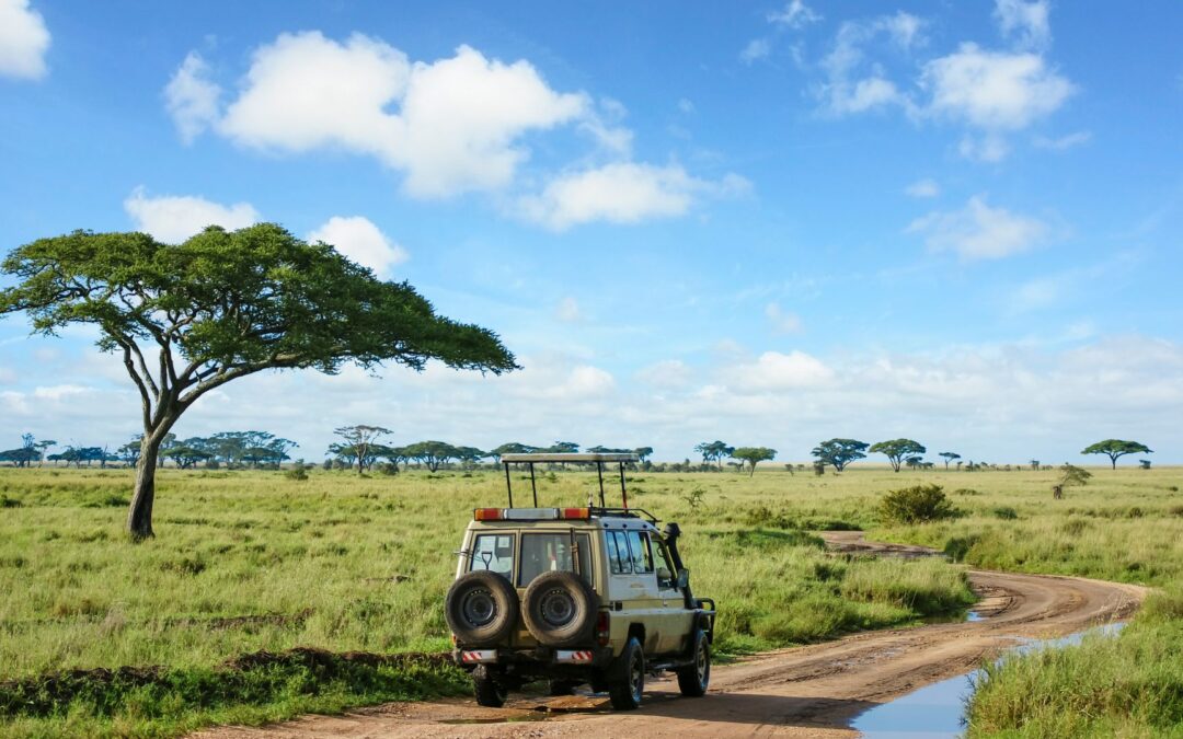 Nuestro viaje a Tanzania + Zanzíbar