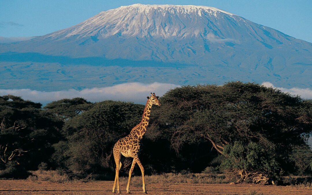 Nuestro viaje a Kenia + Zanzíbar