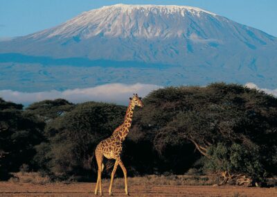Nuestro viaje a Kenia + Zanzíbar
