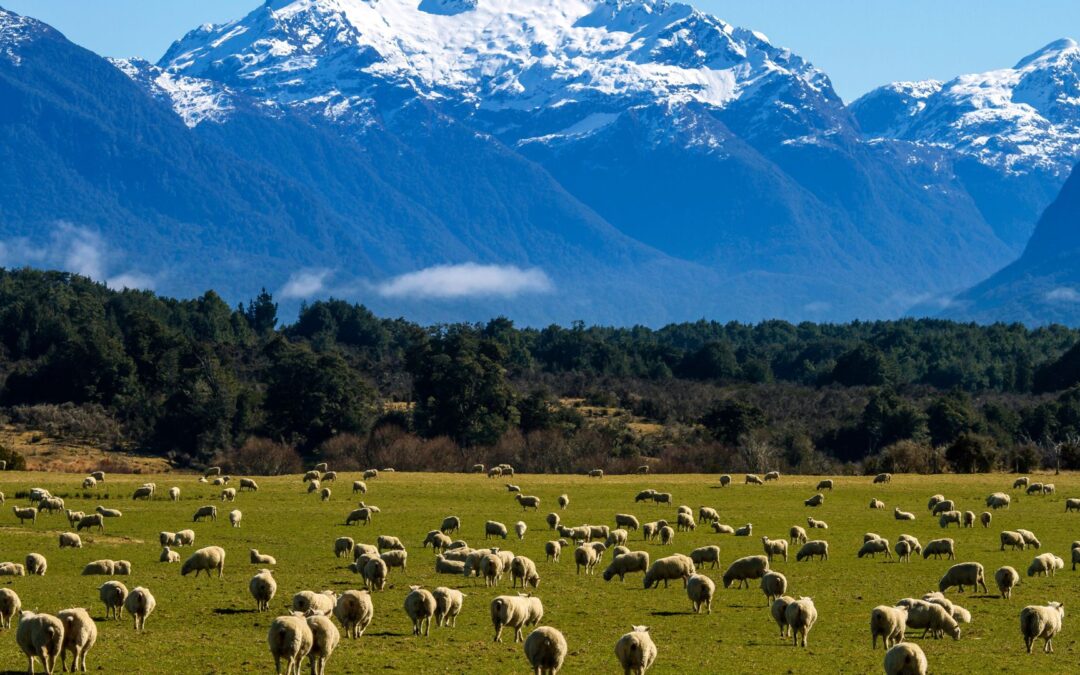 Paisajes de Nueva Zelanda