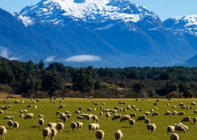 Paisajes de Nueva Zelanda